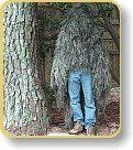 Military "Stalker" Ghillie Poncho  Jute thread (Options: Mossy)