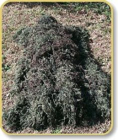 Ghillie Blanket cover 4' x 6' (Options: Woodland)